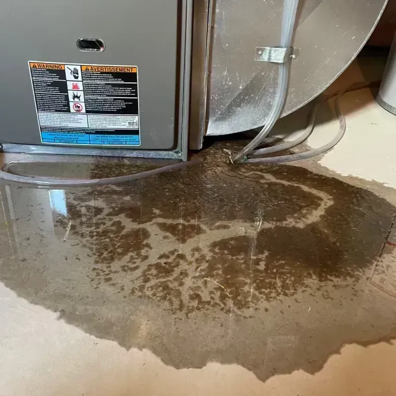 Appliance Leak Cleanup in Logan Square, IL